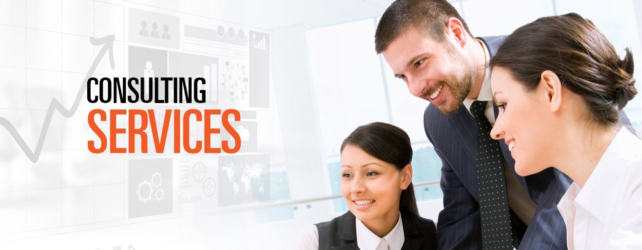 im-consulting-services